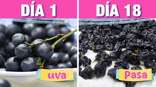 🍇 ¿Sabes cómo se hace la UVA PASA  Aprende a hacerlo y consérvalas por meses [upl. by Yerxa]