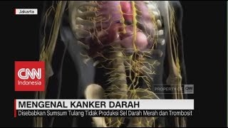 Mengenal Kanker Darah [upl. by Drofdarb]