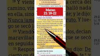 lecturabíblica videoscristianos versiculosbiblicos Biblia Mateo 211822 Maldición higuera [upl. by Zoila45]