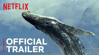 Our Planet  Official Trailer HD  Netflix [upl. by Ettennaej]