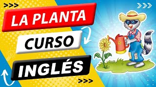 🇺🇸 La planta en INGLÉS 🗽 ❤️ 👉  1 EN EEUU  👈 [upl. by Caswell]