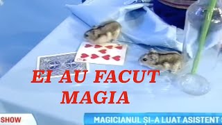 Magicianul Robert Tudor a adus soareci si iepurasi la Maruta in emisiune [upl. by Eilarol]