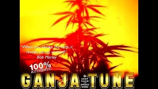 BRAND NEW2017 GANJA TUNE SELECTION [upl. by Noseimaj307]