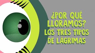 ¿Por qué lloramos Los tres tipos de lágrimas  Alex Gendler [upl. by Ginnifer269]