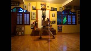 Naihanchi Sandan  Shorin Ryu KYUDOKAN Karatedo [upl. by Ahsinnor]