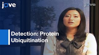 Detection Of Protein UbiquitinationPreview [upl. by Yecram]