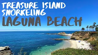 Laguna Beach Snorkeling  Treasure Island is Beautiful [upl. by Thomajan]