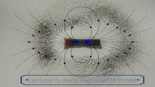 Expérience sur les lignes du champ magnétique [upl. by Aniluap297]