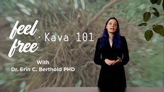 What is Kava  Kava 101 [upl. by Beisel31]