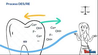 Proceso Desmineralización Remineralización Unidad V [upl. by Garik249]