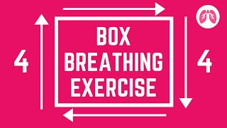 Box Breathing Exercises  Calm and Stop Panic  TAKE A DEEP BREATH  Breathing Exercises [upl. by Nylidnarb]