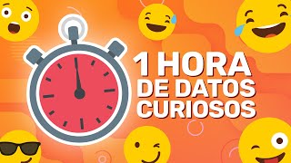 1 HORA SIN PAUSAS DE DATOS CURIOSOS XpressTV [upl. by Hairas]