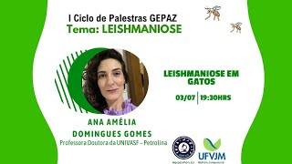 Dia 5 Leishmaniose em Gatos  I Ciclo de Palestras GEPAZ [upl. by Sergius]