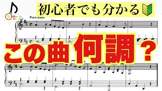 【音大卒が教える】簡単な調の見つけ方【初心者歓迎】 [upl. by Nickie]