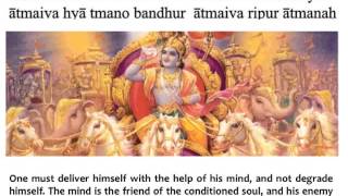 Bhagavad Gita Chapter 6  Verse 5 [upl. by Rosemari]