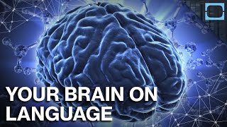 How Does Language Change Your Brain [upl. by Divad]