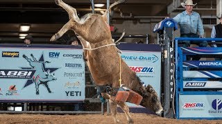 Future World Champion Bulls 🤔 Bucking Bulls Before They Get Ridden [upl. by Edric]