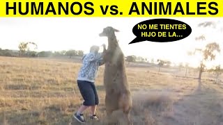 Top 10 Humanos Peleando Con Animales [upl. by Olegnaed654]