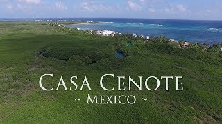 Casa Cenote  Tulum Mexico  Drone Video [upl. by Shaddock]