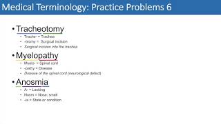 Medical Terminology  The Basics and Anatomy  Practice Problems Set 1 [upl. by Orman641]