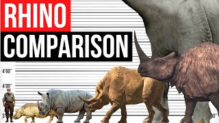 Rhino Size Comparison  Largest Rhino in History [upl. by Nalid]