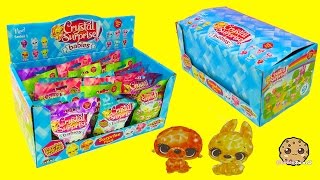 Crystal Babies Surprise Baby Pets Blind Bags Box Unboxing  Cookieswirlc Videos [upl. by Li]