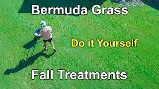 Bermuda Grass Fall Treatments and Care [upl. by Kcirdnekel]