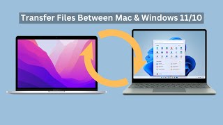 How To Transfer Files Between Mac And Windows 1110  Connect Mac to PC [upl. by Nason]