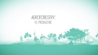 Agroforestry benefits [upl. by Close122]