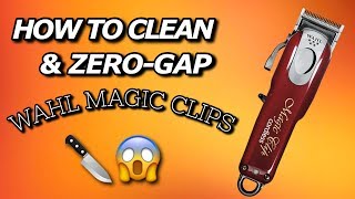 How To Clean Your Clippers amp ZeroGap  Wahl Magic Clip Tutorial [upl. by Manthei920]