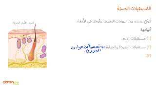 المستقبلات الحسية [upl. by Annekim]