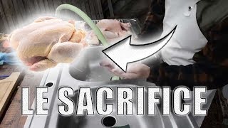 Le sacrifice des poulets  saigner plumer vider [upl. by Ruzich]