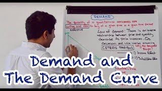 Y1 3 Demand and the Demand Curve [upl. by Tonl33]