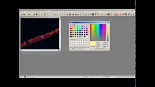 ImagePro Plus Apply Calibration Marker [upl. by Shirberg]