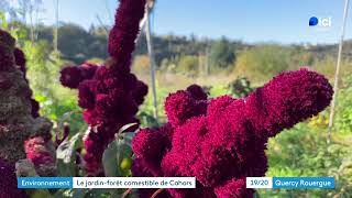 REPORTAGE CAHORS JARDIN COMESTIBLE [upl. by Refotsirk407]