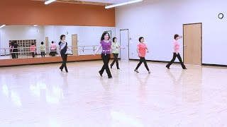 Perfect  Line Dance Dance amp Teach [upl. by Meeks]