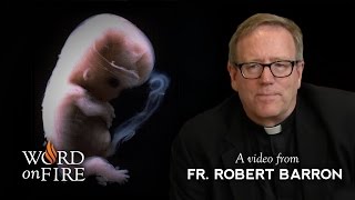 Bishop Barron on Abortion and Health Care [upl. by Yrtneg]