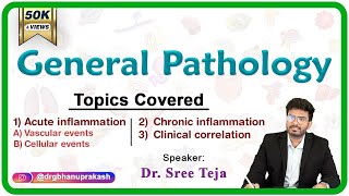 Acute inflammation  Vascular and cellular events  Chronic inflammation Part 1 General Pathology [upl. by Aihsinyt]