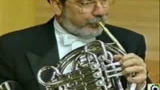 Strauss’s 2nd Horn Concerto Horn Solo [upl. by Alac]