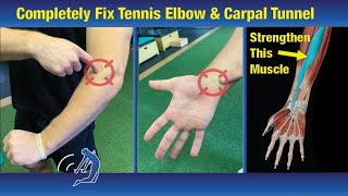 Fix Tennis Elbow in One Week  Exercises that Actually Work [upl. by Gerson]