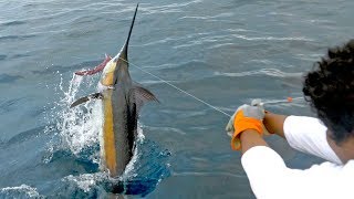 EPIC Blue Marlin Fishing in Costa Rica [upl. by Jacinta]