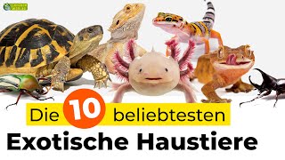 Die 10 beliebtesten exotischen Haustiere [upl. by Audette518]