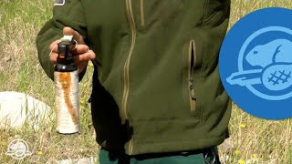 How to Use Bear Spray  Banff National Park [upl. by Esilrac]