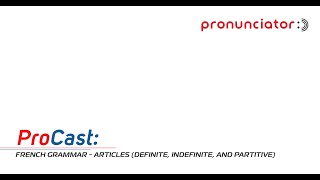 French Grammar Articles definite indefinite and partitive [upl. by Dorlisa]