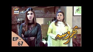 Bharosa Ep 67  10th August 2017  ARY Digital Drama [upl. by Judie]