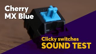 The Ultimate CHERRY MX BLUE Sound Test  Classic Clicky Switch [upl. by Ebaj]