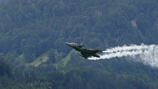 Zigermeet 2019  Saab Gripen 4K [upl. by Lucia]