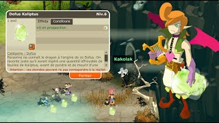 LAVENTURE DOFUS RETRO MONOCOMPTE 23  SKEUNK amp DOFUS KALIPTUS [upl. by Cassius]