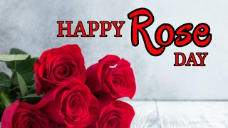 Rose Day Quotes  Valentines Day Love Quotes  Whatsapp Status Quotes  Spread Positivity [upl. by Trometer]