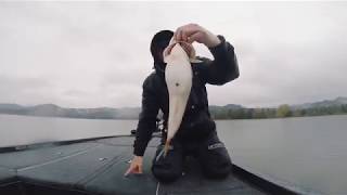 Bass Fishing at the southern Oregon coast [upl. by Noraed313]